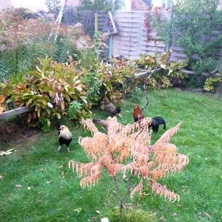 Familie Mergner * Bad Langensalza