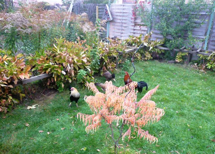 Familie Mergner * Bad Langensalza